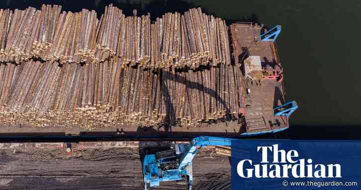 Sanctioned Russia and Belarusian wood being smuggled into UK, study suggests
