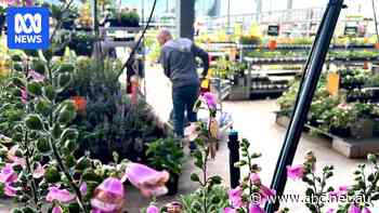 Bunnings strikes deal addressing concerns of 'terrified' plant growers