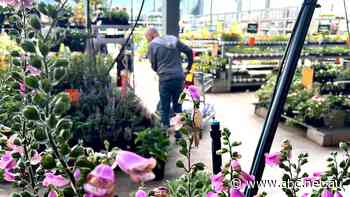 Bunnings strikes deal addressing concerns of 'terrified' plant growers