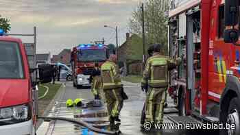 Zes honden komen om het leven bij woningbrand in Mol