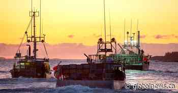 ‘People have almost died’: Soaring N.S. lobster fishing tensions revealed