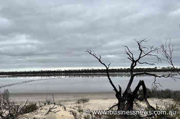 Impact to acquire 50pc stake in Alluminous