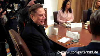 Musk will mehr Tesla-Chef statt Trumps Kostensenker sein