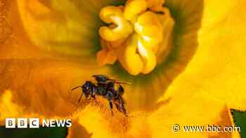 Cities to hold events for world nature challenge