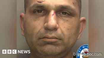 Banned driver rammed police cars in escape attempt