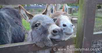 Give your garden a boost with ‘zoo poo’ from East Yorkshire tourist attraction