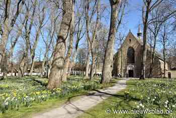“Stad mag mannelijke huurders niet weigeren”: Bewonerscharter Brugs Begijnhof oogst kritiek