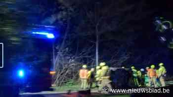 Pulse kreukelpaal ZIPpole redt leven in Pelt