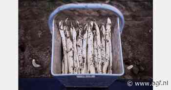 "Eind vorige week leek toch weer heel Nederland asperges te willen eten"