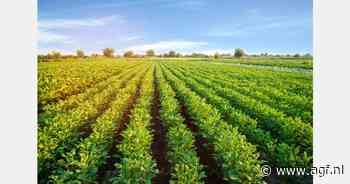 Krimp in Vlaamse land- en tuinbouwproductie