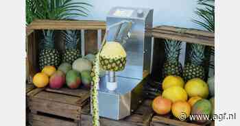 Nieuwe schilmachine voor ananas, mango en meloenen
