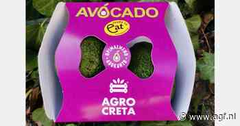 "Met nog maar een paar weken is Hass-seizoen op Kreta gedaan"