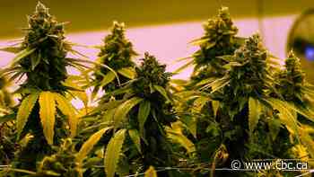 Manitoba legislation lifting ban on homegrown recreational cannabis to come into effect May 1