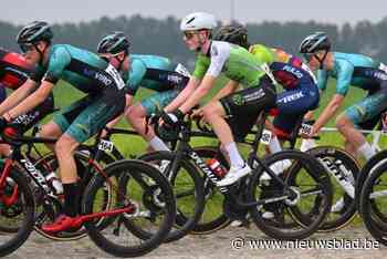 OOST-VLAAMSE KOERSKALENDER. Meer actie na kalm paasweekend, Werkende Wielervrienden zetten koers op aan Bachte Grot