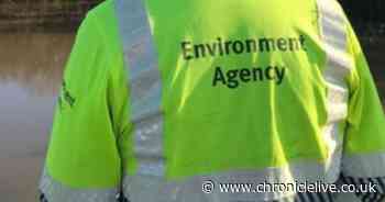 Environment Agency investigating pollution incident in County Durham burn