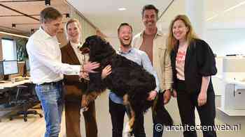 Patrick Levie partner bij Fokkema & Partners