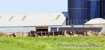 Melkaanvoer VS trekt bij na dip door vogelgriep