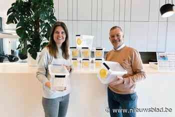 Stad voert strijd op tegen Aziatische hoornaar: “Gratis vallen razendsnel de deur uit”