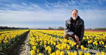 Ard is de grootste bollenteler van Frankrijk: ‘Maar dat zeg ik hier liever niet’