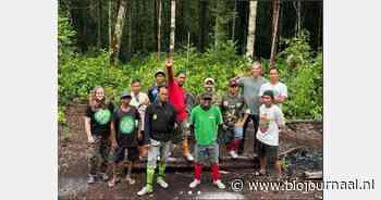 Herstelproject voor regenwoud in Borneo van start