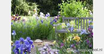 "Biololgische en inheemse zaden populair bij aanleg biodiverse tuinen"