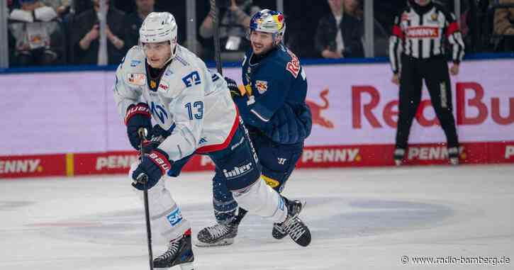 Straubing Tigers verpflichten Nationalstürmer Loibl