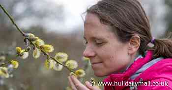 Woman 'could barely breathe' because of 'extreme' hay fever