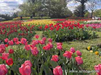 Morning Notes for April 23, 2025