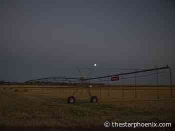 Opinion: More irrigation could help insulate Sask. against trade turmoil