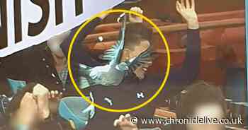 Teen hit in the face by a pigeon while riding on 60mph rollercoaster