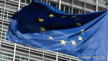 EU verhängt drastische Geldstrafe gegen Meta und Apple