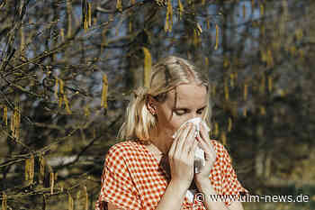 Laufende Nasen, juckende Augen – es ist wieder Heuschnupfen-Saison - Zahl der Pollenallergiker laut AOK in der Region gestiegen