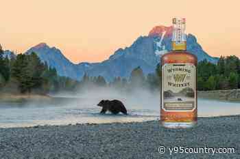 Wyoming Whiskey Salutes Grizzly 399 With An Exclusive Auction