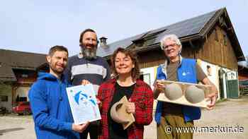 Schwalben willkommen