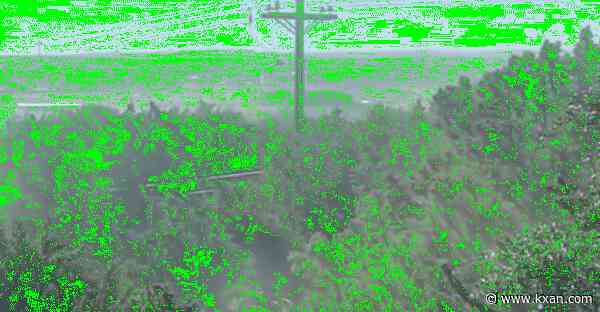 Cedar trees might be easier to remove because of Texas law