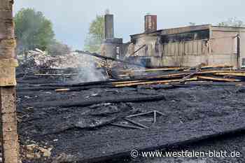 Feuer in Bielefeld-Senne: War es Brandstiftung?