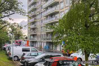 Brandweer rukt massaal uit voor gasgeur maar uiteindelijk ging het om... stinkende vuilnisbakken