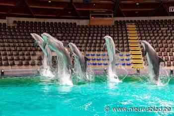 Proces tegen sjoemelende boekhouder Boudewijn Seapark van start: “Gokverslaving deed hem de das om”