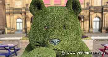 Grass animals and extra seating make return for summer in York