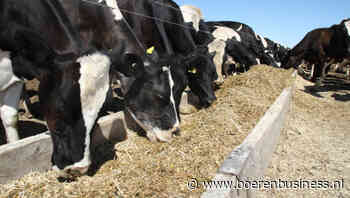 Brownes Dairy laatste speelbal in Aussie-zuivel