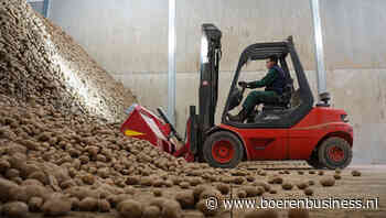 Aardappelmarkt terug naar 10 euro