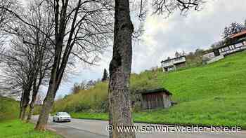 Rat stimmt dafür: Neue Wohnungen im Iselshauser Tal