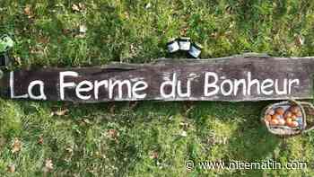 "Mon père s'est rendu compte qu'il n'était pas seul": elle sauve la ferme bio de son papa, placée en redressement judiciaire