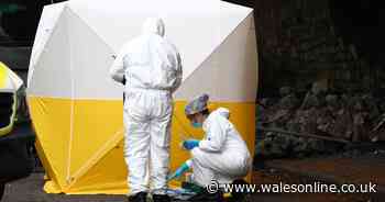 Wife pays tribute to bricklayer husband crushed to death under wall while working with his son