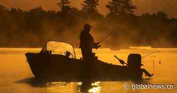 DDT sprayed in New Brunswick forests persists in trout at ‘alarming’ levels: study