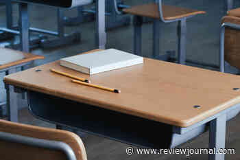 Florida teacher loses job for using student’s chosen name in violation of state law