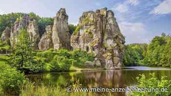 Fernwanderweg Hermannshöhen: Eine Wanderung voller Natur und Geschichte