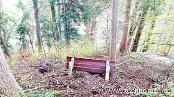 „Idioten unterwegs“: Priens Bürgermeister sauer über Parkbank-Rüpel – und er hat einen Verdacht
