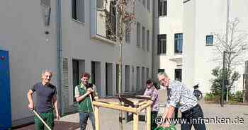 Bamberg: Stadt verschönern und Klima fördern - über 700 Bäume gepflanzt