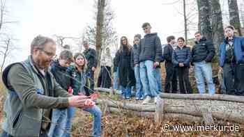 Miesbacher Schüler pflegen klimastabile Bäume im Stadtwald